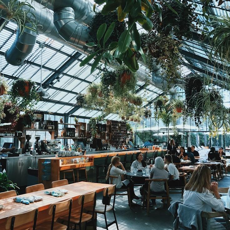 School choices for expat families in San Diego, United States